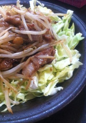 もやしたっぷり☆ボリューム豚丼-レシピのメイン写真