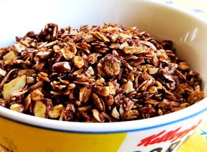 アメリカの手作りチョコレートグラノーラ-レシピのメイン写真