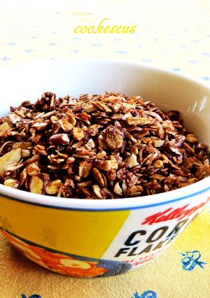 アメリカの手作りチョコレートグラノーラ-レシピのメイン写真