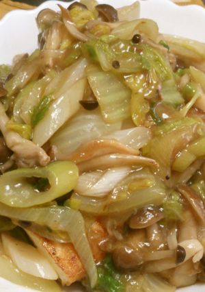 絹揚げ野菜あんかけ-レシピのメイン写真