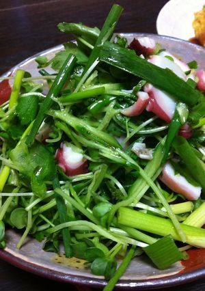 おもてなしに！タコの香味サラダ-レシピのメイン写真