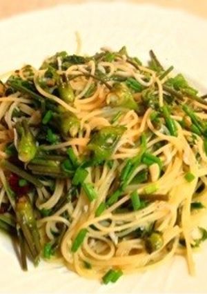 こしあぶらとシラスのパスタ-レシピのメイン写真