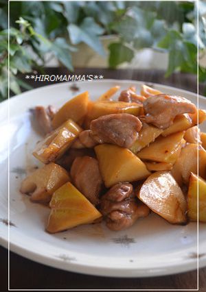 タケノコと鶏もも肉の甘辛煮-レシピのメイン写真