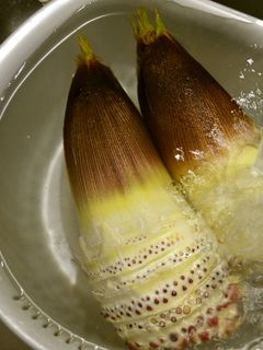 たけのこのあく抜き-レシピのメイン写真