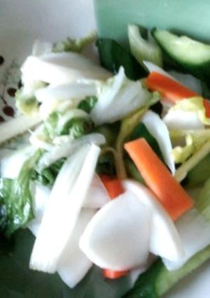 薄塩　漬け物-レシピのメイン写真