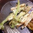 プレ農家めし◆揚げるだけ!ウドのてんぷら