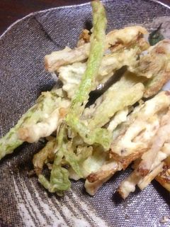 プレ農家めし◆揚げるだけ!ウドのてんぷら-レシピのメイン写真
