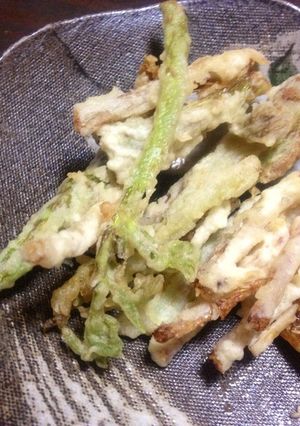 プレ農家めし◆揚げるだけ！ウドのてんぷら-レシピのメイン写真