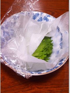 大葉の保存方法-レシピのメイン写真