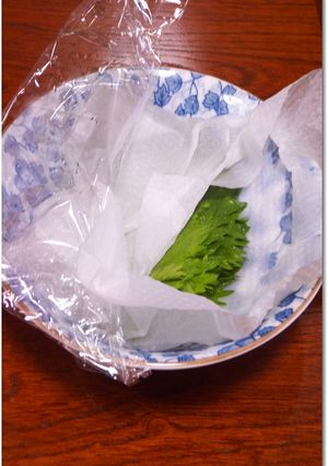大葉の保存方法-レシピのメイン写真