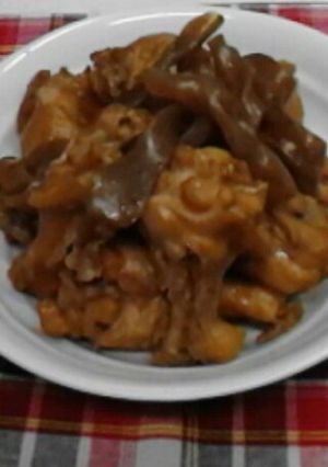 お肉がホロリ、圧力鍋で手羽元煮-レシピのメイン写真