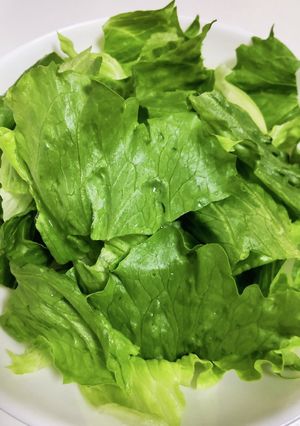 シャキッと甦る♪長持ち野菜の洗い方40度-レシピのメイン写真