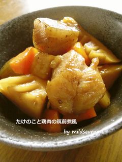 たけのこと鶏肉の筑前煮風-レシピのメイン写真