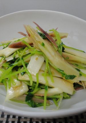 うど・みょうが・豆苗の味噌ポン和え☆-レシピのメイン写真