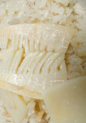 鶏肉と茹でタケノコの炊き込みご飯-レシピのメイン写真