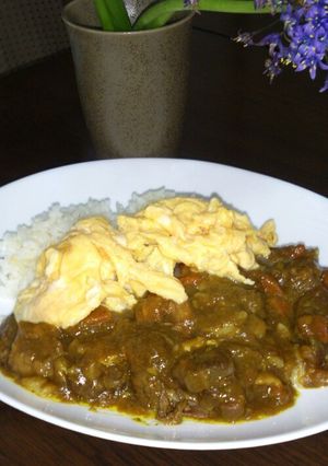 馬すじ(牛すじ)とアボカドのカレー-レシピのメイン写真
