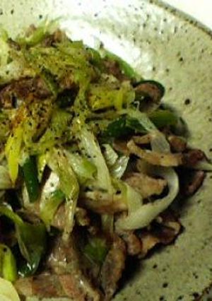 ☆長ねぎと豚肉の炒め物☆-レシピのメイン写真