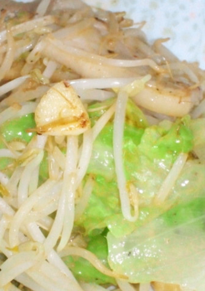 豚肉のもやし炒め-レシピのメイン写真