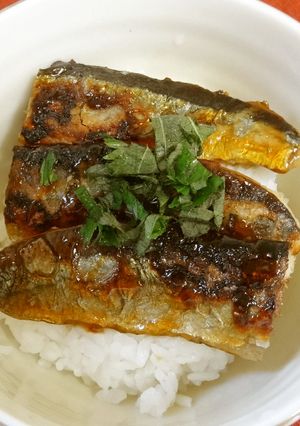 お酢が決め手　手軽にサンマのかば焼き丼-レシピのメイン写真
