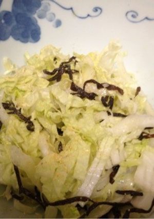 白菜と塩昆布の簡単サラダ-レシピのメイン写真