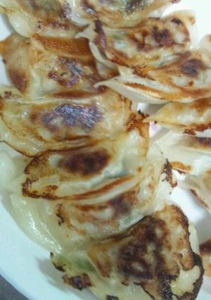 私の基本の餃子-レシピのメイン写真