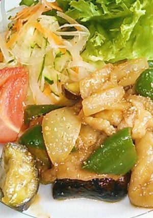 ＊豚肉茄子の甘辛味噌炒め＊-レシピのメイン写真