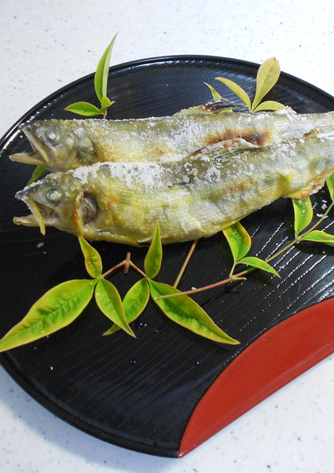 鮎の塩焼き-レシピのメイン写真