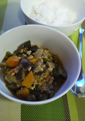 ナスがメインのヘルシードライカレー-レシピのメイン写真