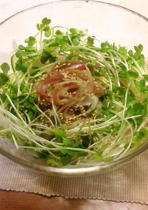 簡単＊香味野菜のさっぱり梅ジソサラダ-レシピのメイン写真