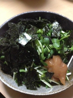 梅かいわれ-レシピのメイン写真