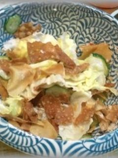 焼売の皮を使った ”パリパリサラダ”-レシピのメイン写真