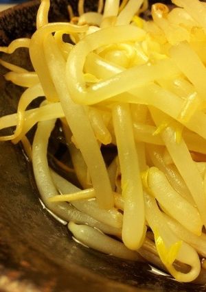 【電子レンジのみ】もやしの三杯酢和え-レシピのメイン写真