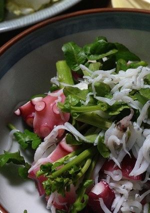 たことしらすのクレソンサラダ-レシピのメイン写真