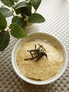 ウチの少し甘めのとろろご飯-レシピのメイン写真