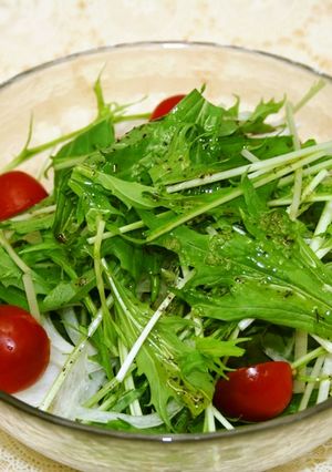 水菜と玉ねぎのサラダ-レシピのメイン写真