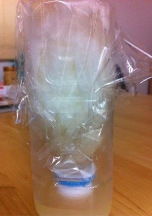 簡単水切りヨーグルト製造容器-レシピのメイン写真