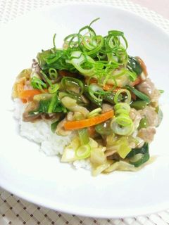 *簡単♪野菜たっぷり☆中華丼*-レシピのメイン写真