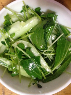 青梗菜と豆苗と貝割 オリーブ油塩麹サラダ-レシピのメイン写真