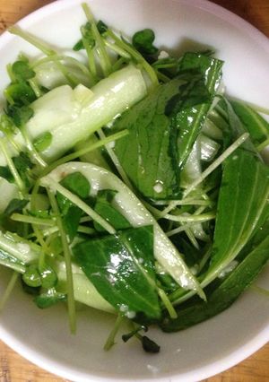 青梗菜と豆苗と貝割　オリーブ油塩麹サラダ-レシピのメイン写真