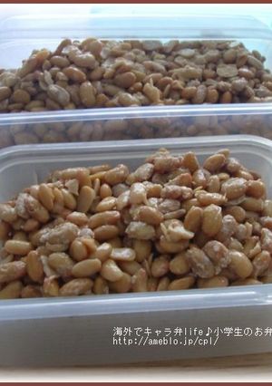 ヨーグルティアで手作り納豆 ★海外で和食-レシピのメイン写真