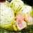 新玉ねぎとかぶのスープ仕立て