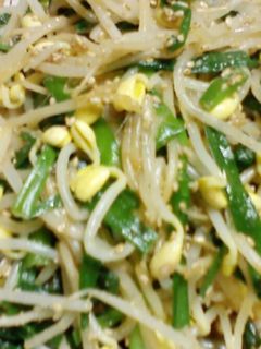 豆もやし&ニラ胡麻油和え-レシピのメイン写真