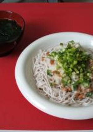 ネバネバそうめん-レシピのメイン写真