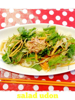 超簡単♪ランチにサラダうどん(そうめん)-レシピのメイン写真