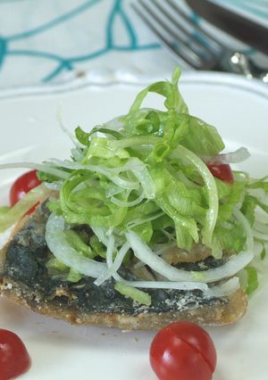 野菜サラダのっけのさごしのカリカリ揚げ-レシピのメイン写真
