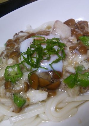 ネバネバぶっかけうどん(温)-レシピのメイン写真