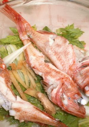 お手軽♡キンキの香菜蒸し-レシピのメイン写真