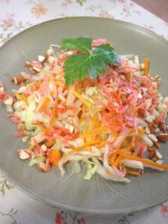 白菜のアジアンサラダ-レシピのメイン写真