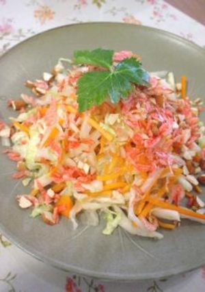 白菜のアジアンサラダ-レシピのメイン写真