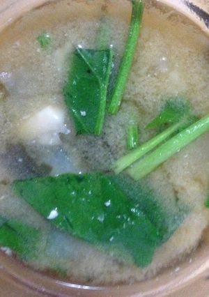 鶏胸と大根と舞茸とほうれん草の味噌汁-レシピのメイン写真